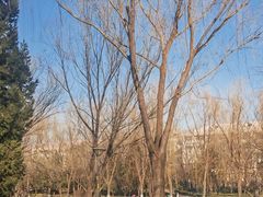 -南长河公园