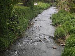-广西壮族自治区药用植物园