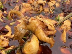 -都江堰石锅鱼