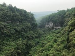 -川西竹海景区