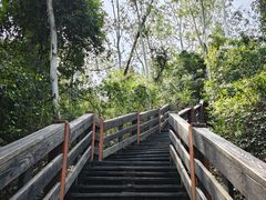 -水濂山森林公园