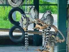 -水上乐园·欢乐世界