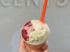 -Dip in Gelato(富民路店)