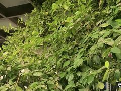 -李东农庄(中南百草园地标店)