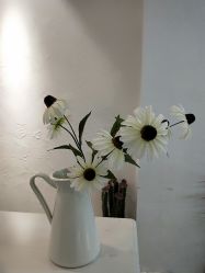 -ASA HAIR SALON