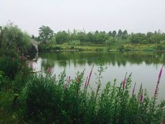 -上海怡沁园度假酒店