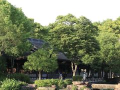 -宁波杭州湾国家湿地公园