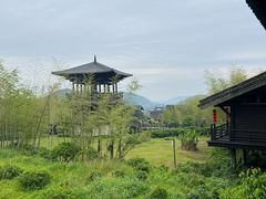 -大唐贡茶院