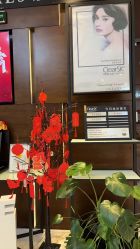 -洁铭新加坡医美