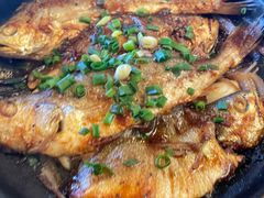 砂锅焗黄花鱼（大）-食家鸽园