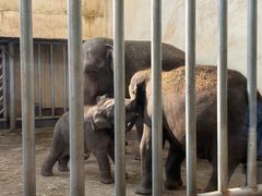 -石家庄市动物园