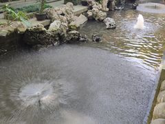 -普陀山风景名胜区-法雨禅寺