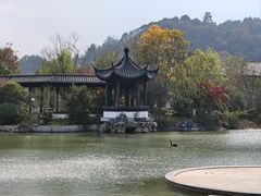 -春色如许·茶食餐厅(桃李春风店)