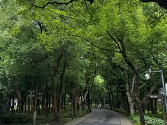 -东湖落雁景区