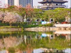 -海珠湖公园