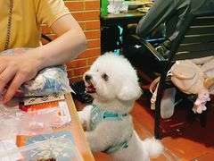 -库玛丽尼泊尔风味餐吧