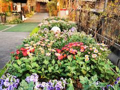 -冰冰龙虾·江湖菜·花园江景餐厅
