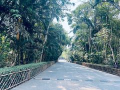 -西双版纳傣族园