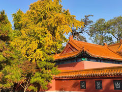 -戏马台景区