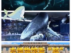 -国家自然博物馆