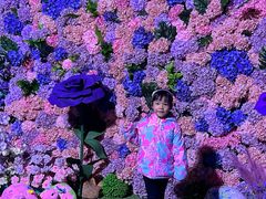-顺德南宏海立方海洋公园