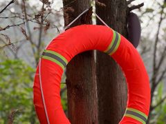 -桤木河湿地公园