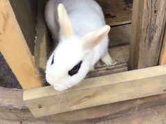 -都江堰玫瑰花溪谷