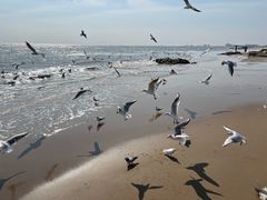 -老虎石海上公园