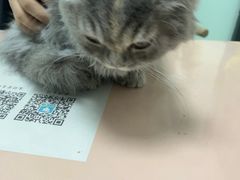 -嘉馨宠物医院·CT影像转诊·心脏科·犬猫全科诊疗中心(下沙大学城院区)