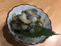 开胃前菜芥末海螺片-村上一屋·亚洲菜融合小馆(南楼店)