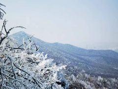 -紫金山山顶公园