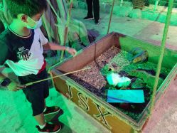 -酷嗒动物文化乐园(cutezoo西溪乐天城店)