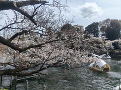 -井之头恩赐公园
