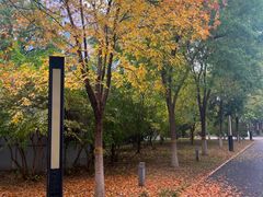 -北京国家会计学院