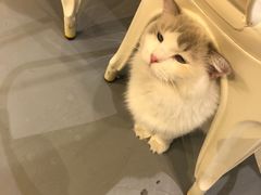 -小时光咖啡馆(开森度假森林店)
