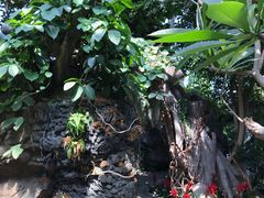 -北京植物园-展览温室