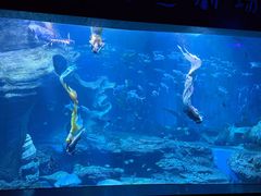 -多彩贵州城极地海洋世界