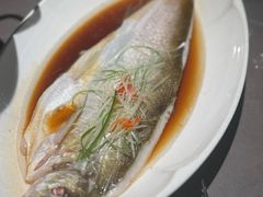 -晓淮山·扬州早茶·淮扬菜(龙阳广场店)