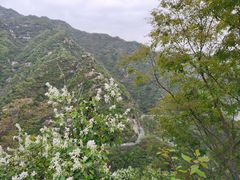 -沣峪森林公园龙潭戏水景区