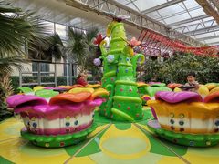 -南宫五洲植物乐园