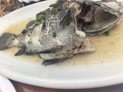 -食海部落