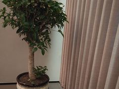 -上和臻品中国菜(花园街店)