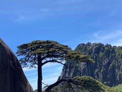 -黄山风景区