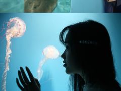 -台州海洋世界