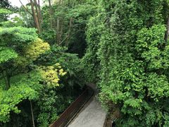-圣淘沙天际线斜坡滑车