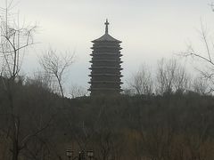 -永定河休闲森林公园