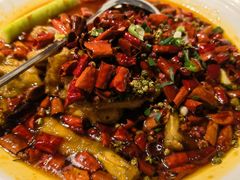 馋嘴蛙-北平盛世·新京菜·北京烤鸭(劲松·双井店)