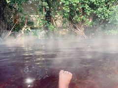 -仁爱团泊湖温泉中心