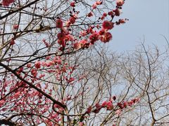 -木塔寺遗址生态公园