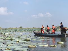 -洪湖生态旅游区